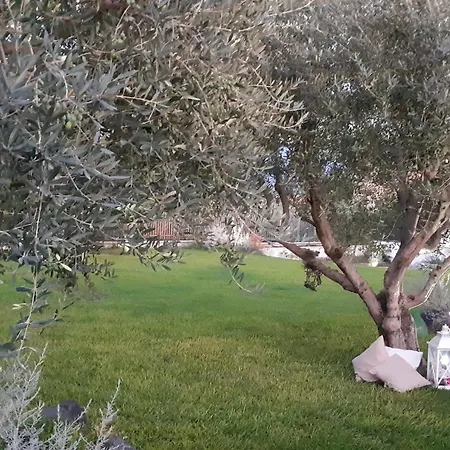 Apartment Giardino Degli Ulivi *