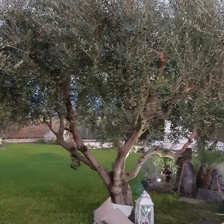Apartment Giardino Degli Ulivi Pompei